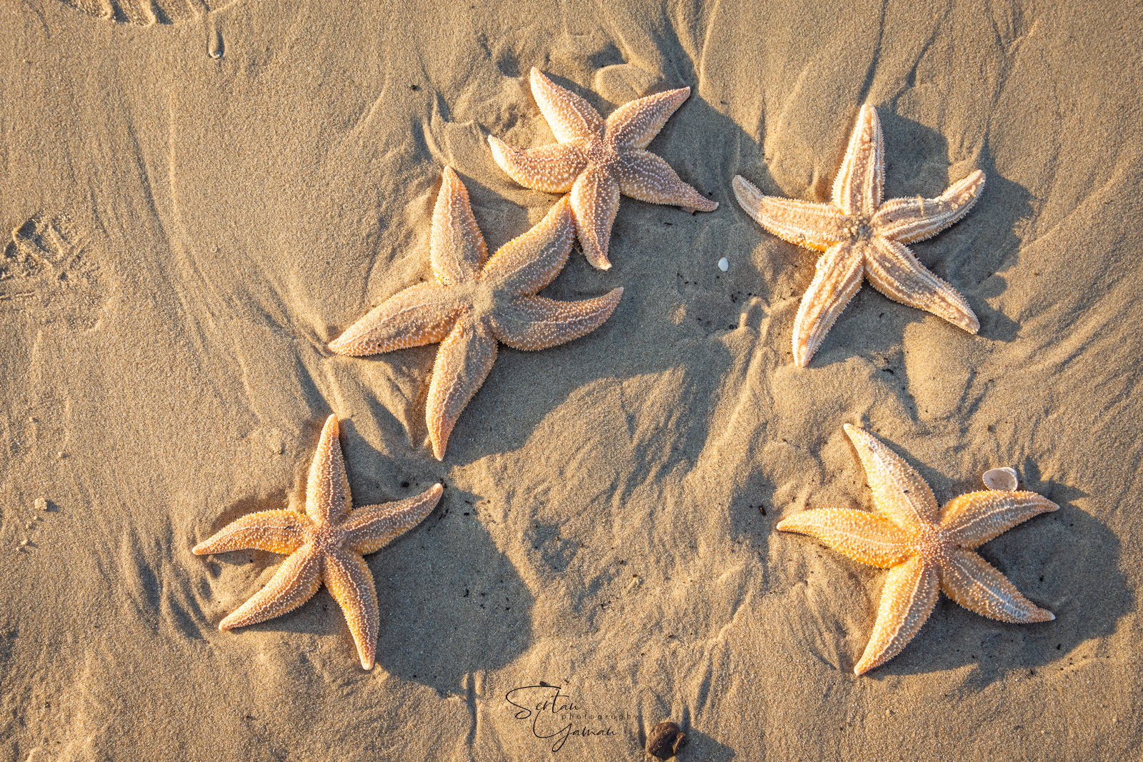 All just grains of sand