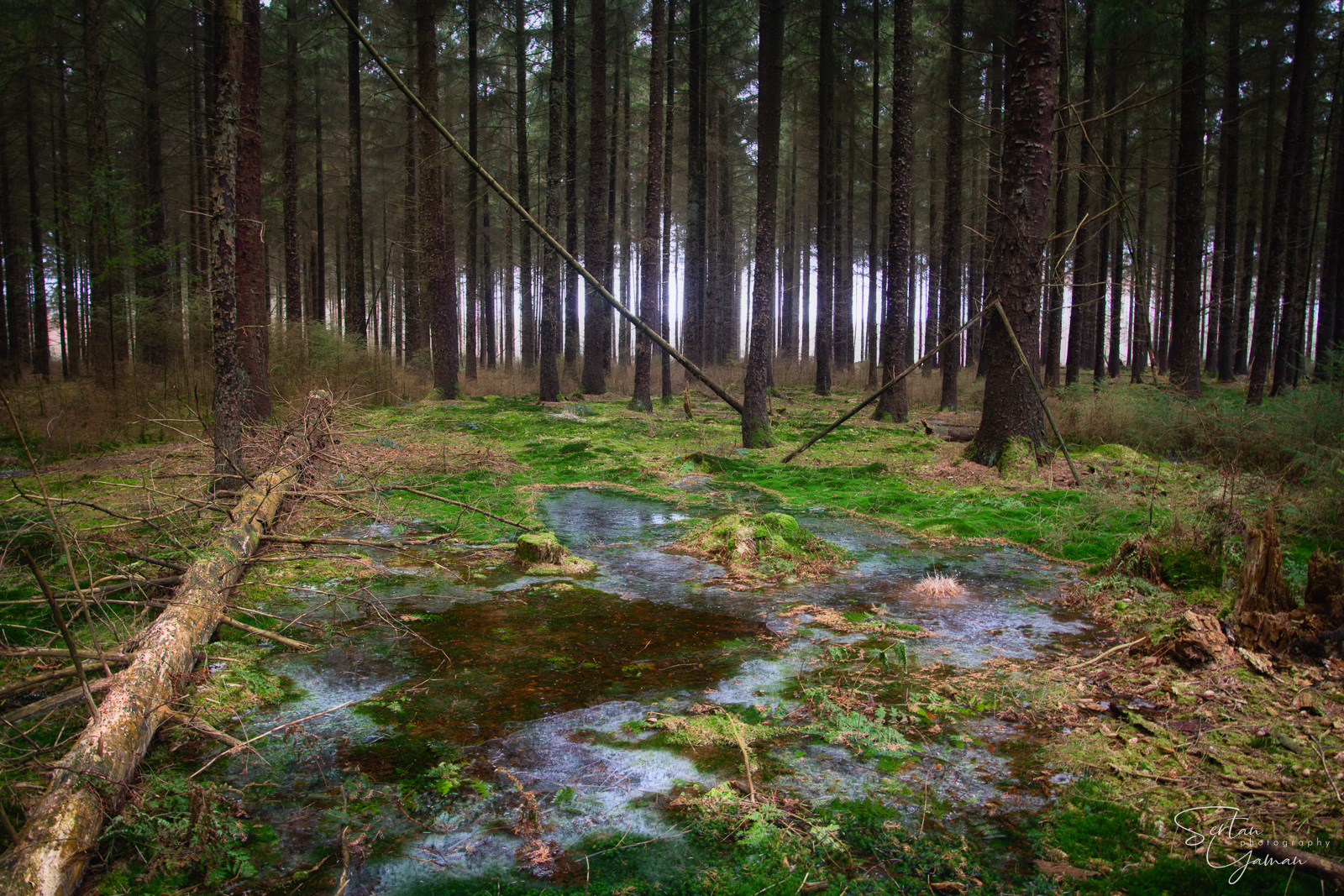 Drenthe frost