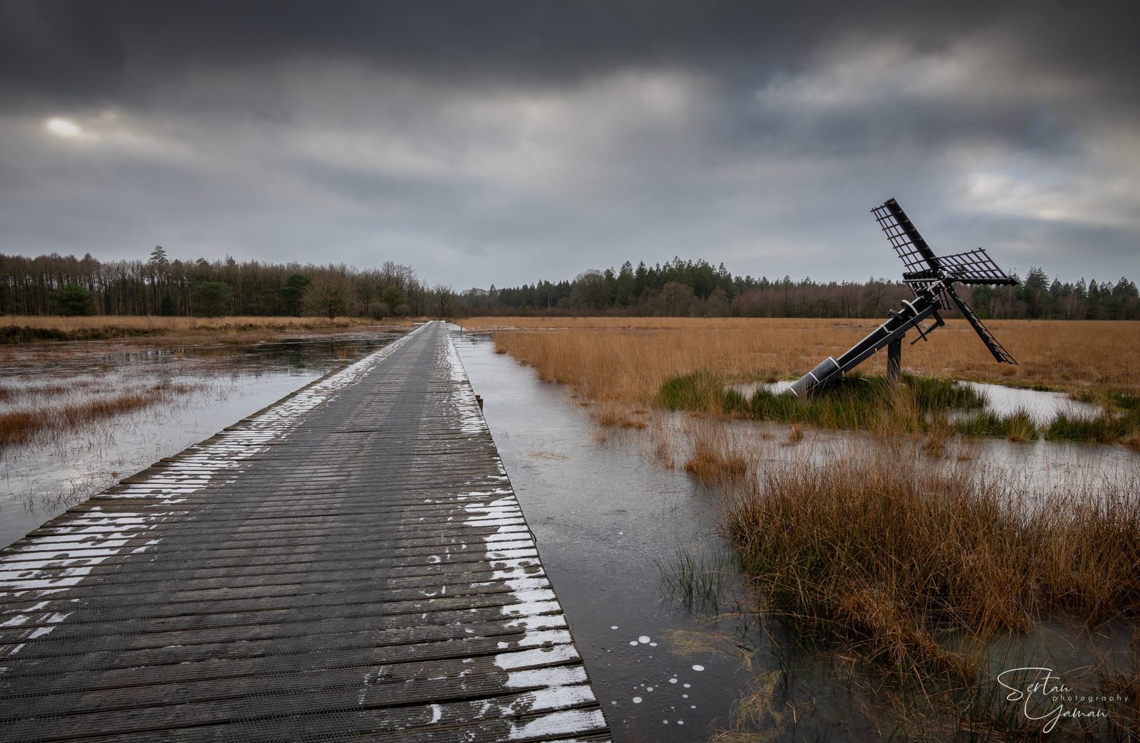Drenthe wet plains in frost