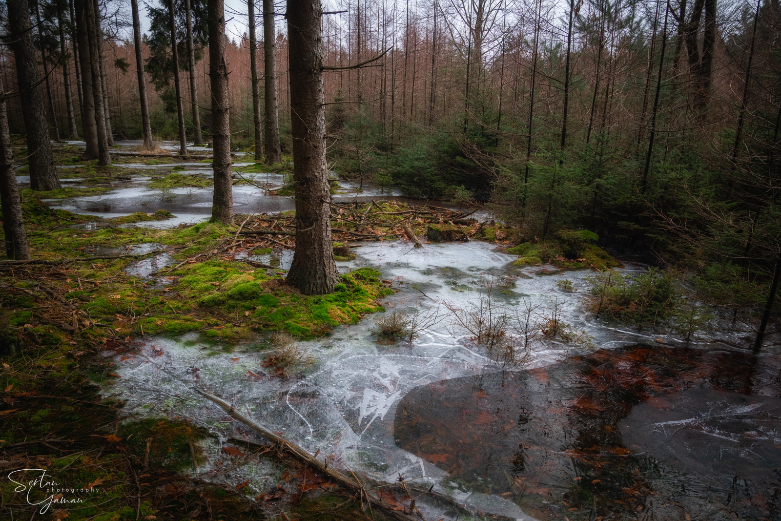 Drenthe frost