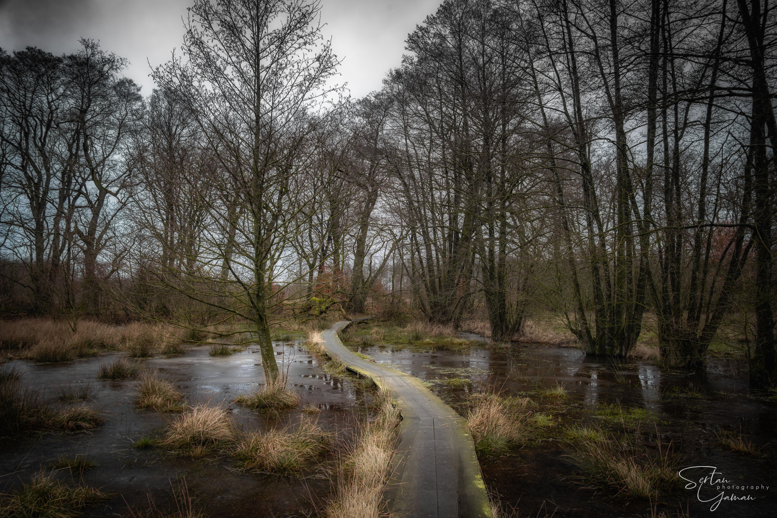 Drenthe wet plains in frost