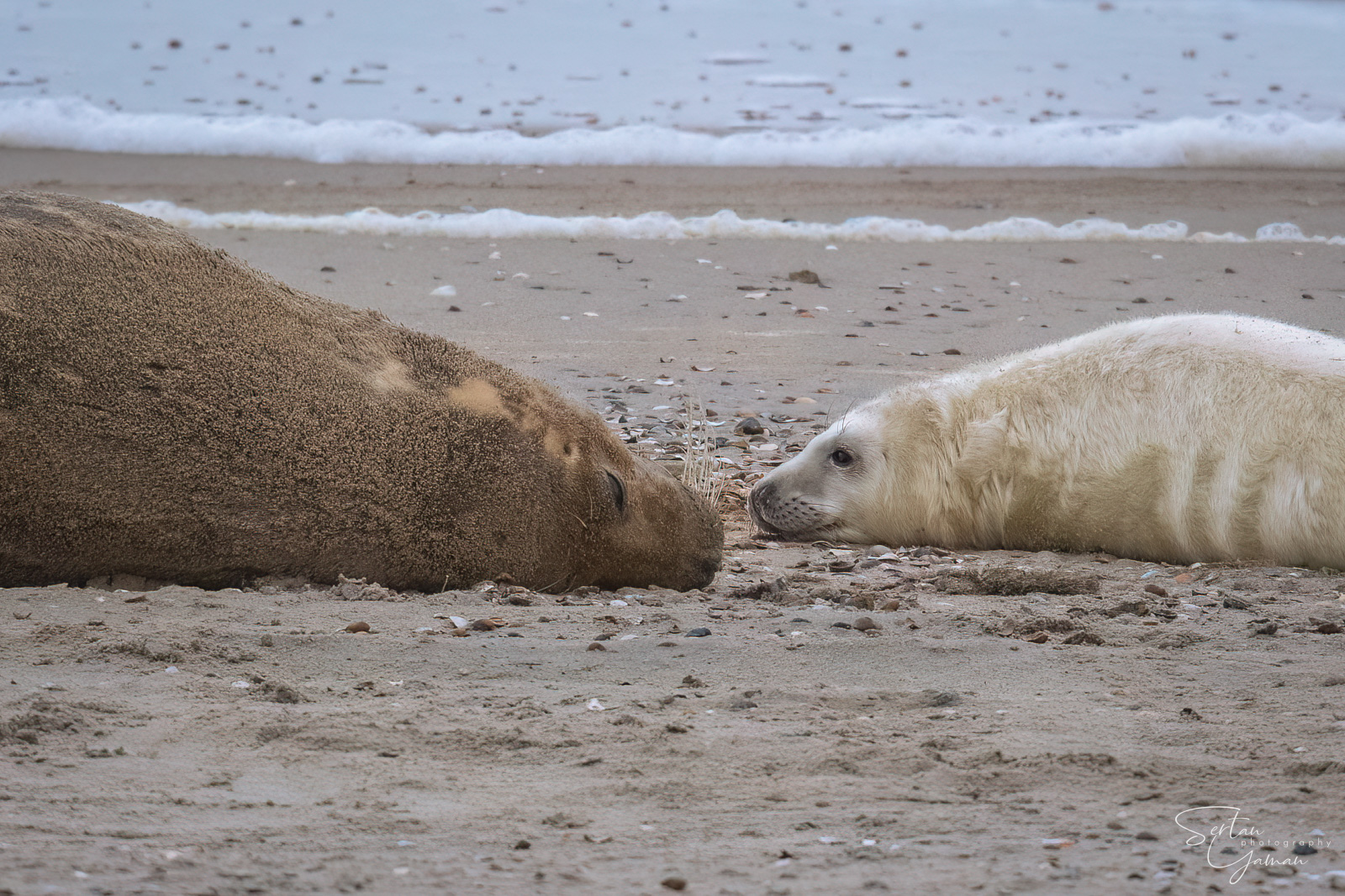 Cosy with mother