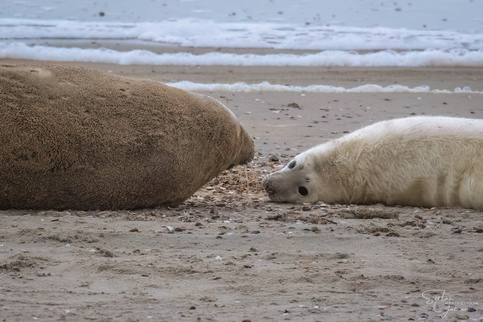 Cosy with mother