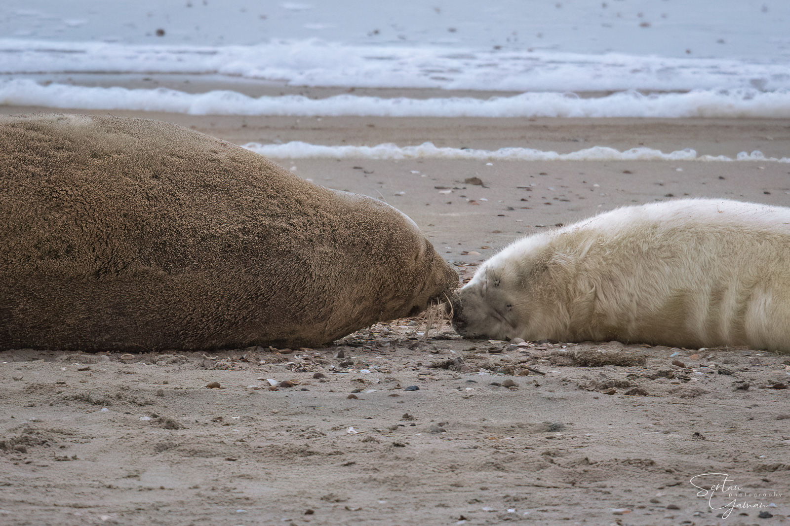 Cosy with mother