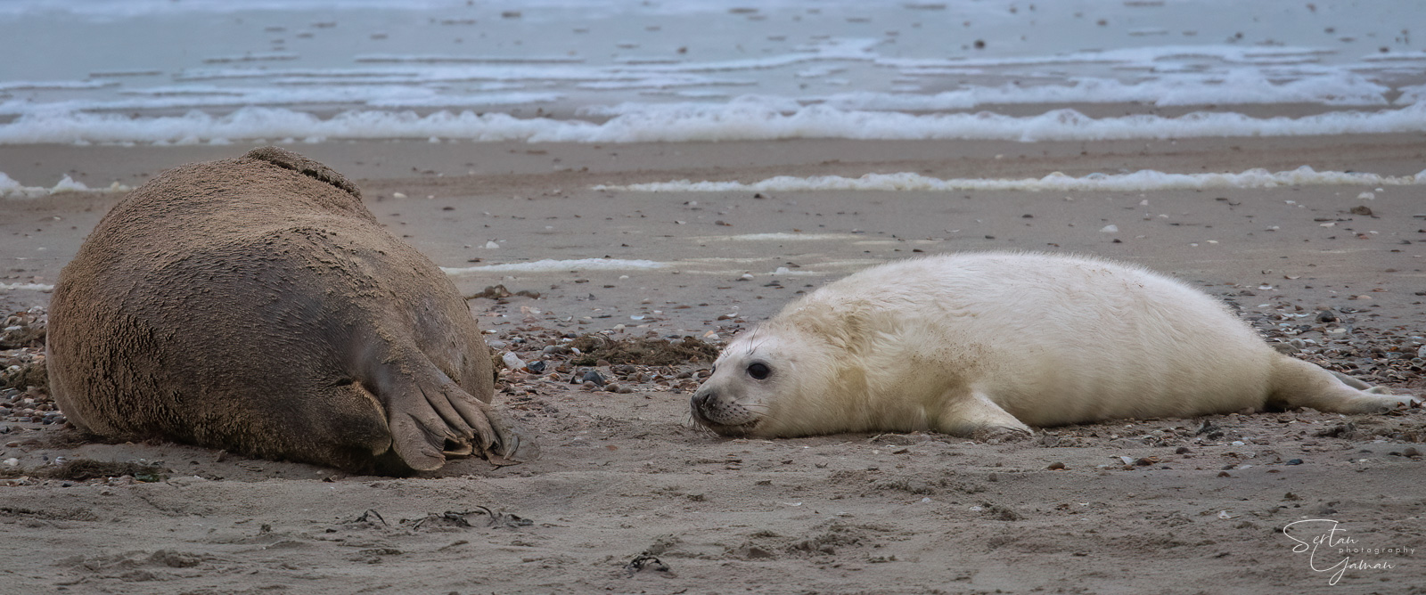 Cosy with mother
