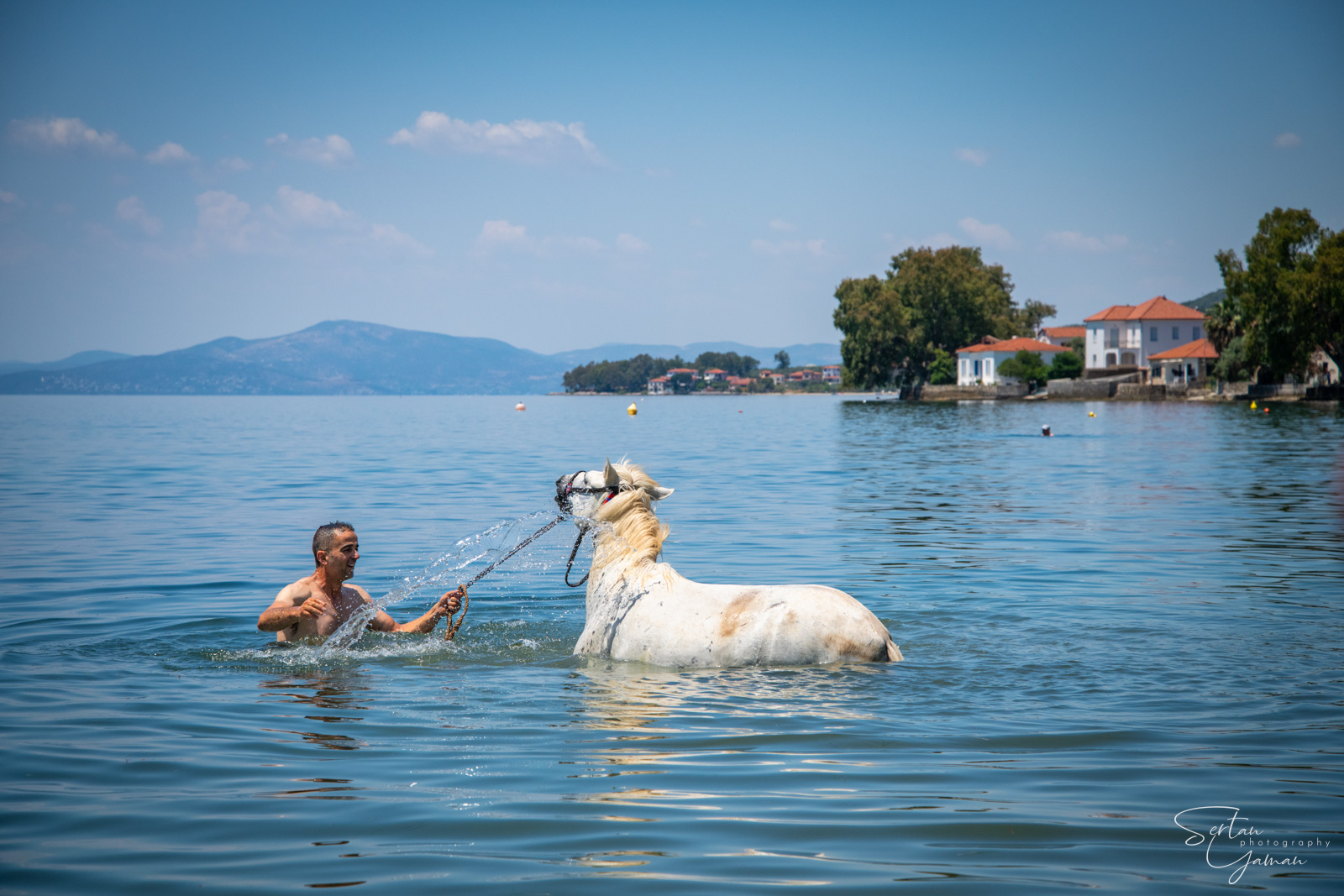 Abolition of horses festival