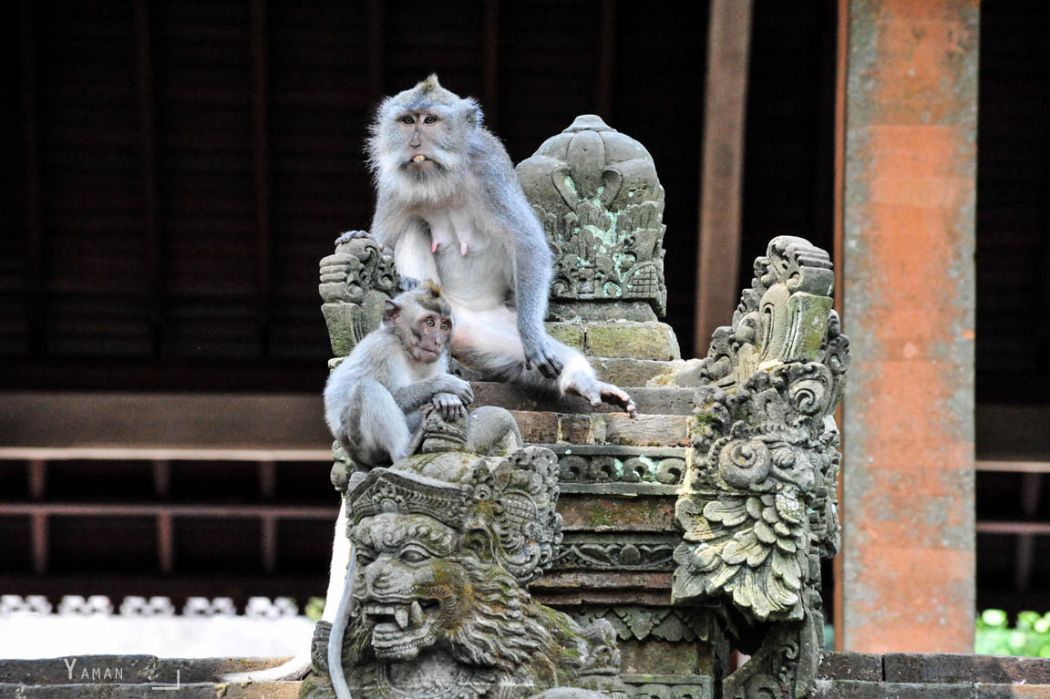 The king and the queen