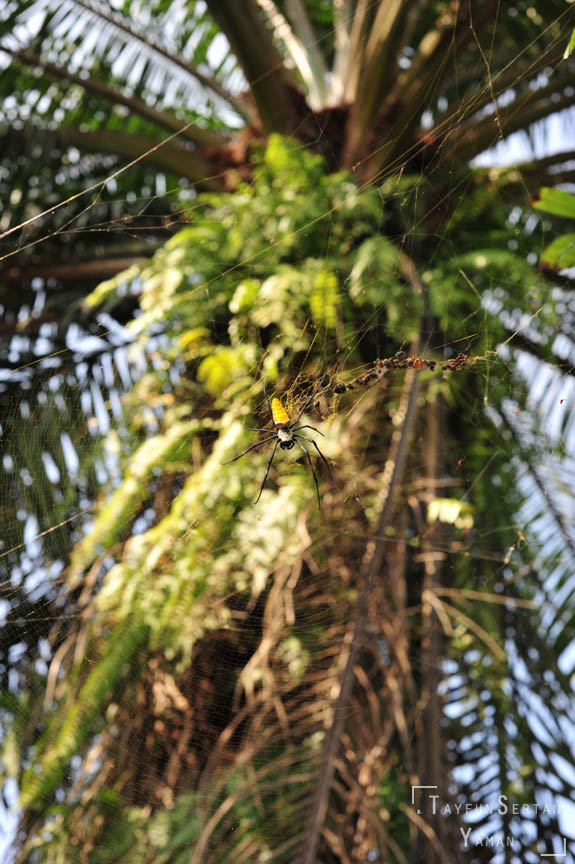DSC_0200