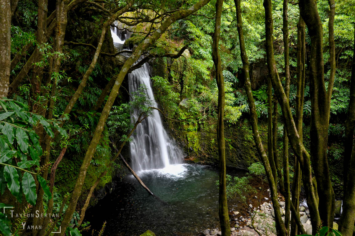 Ribeira do Faial da Terra
