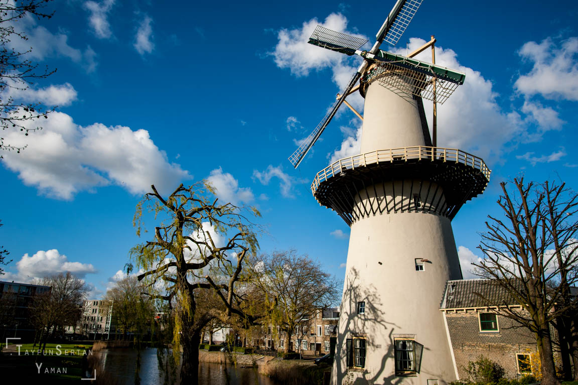Windmill De Drie Koornbloemen in Schiedam