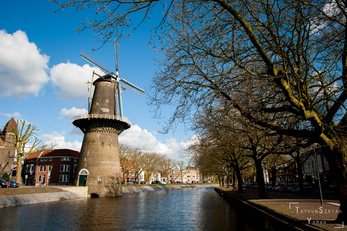 Schiedam