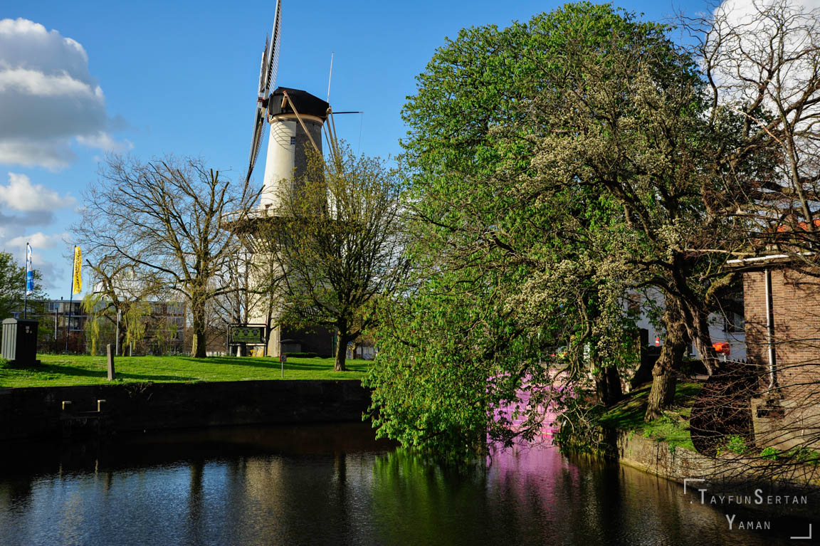 Schiedam