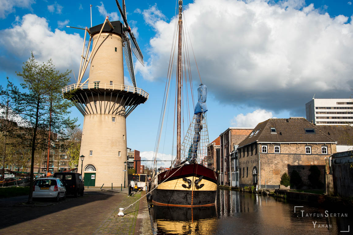 Schiedam