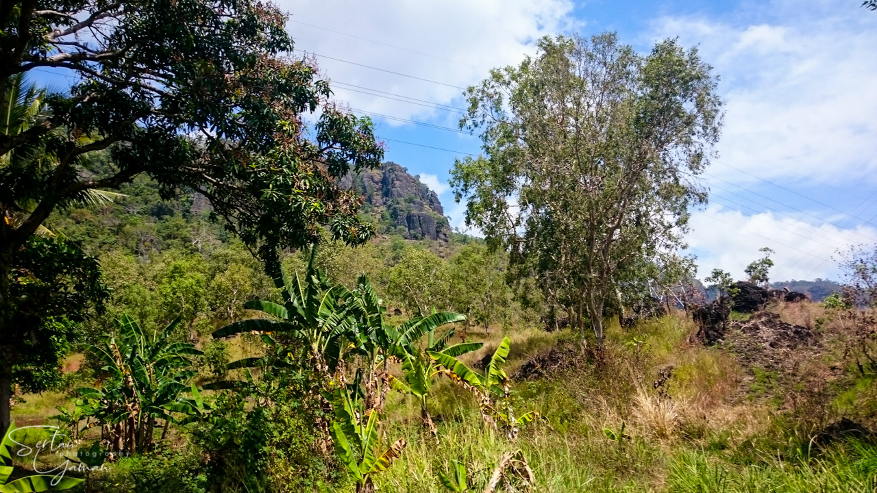 Papua New Guinea