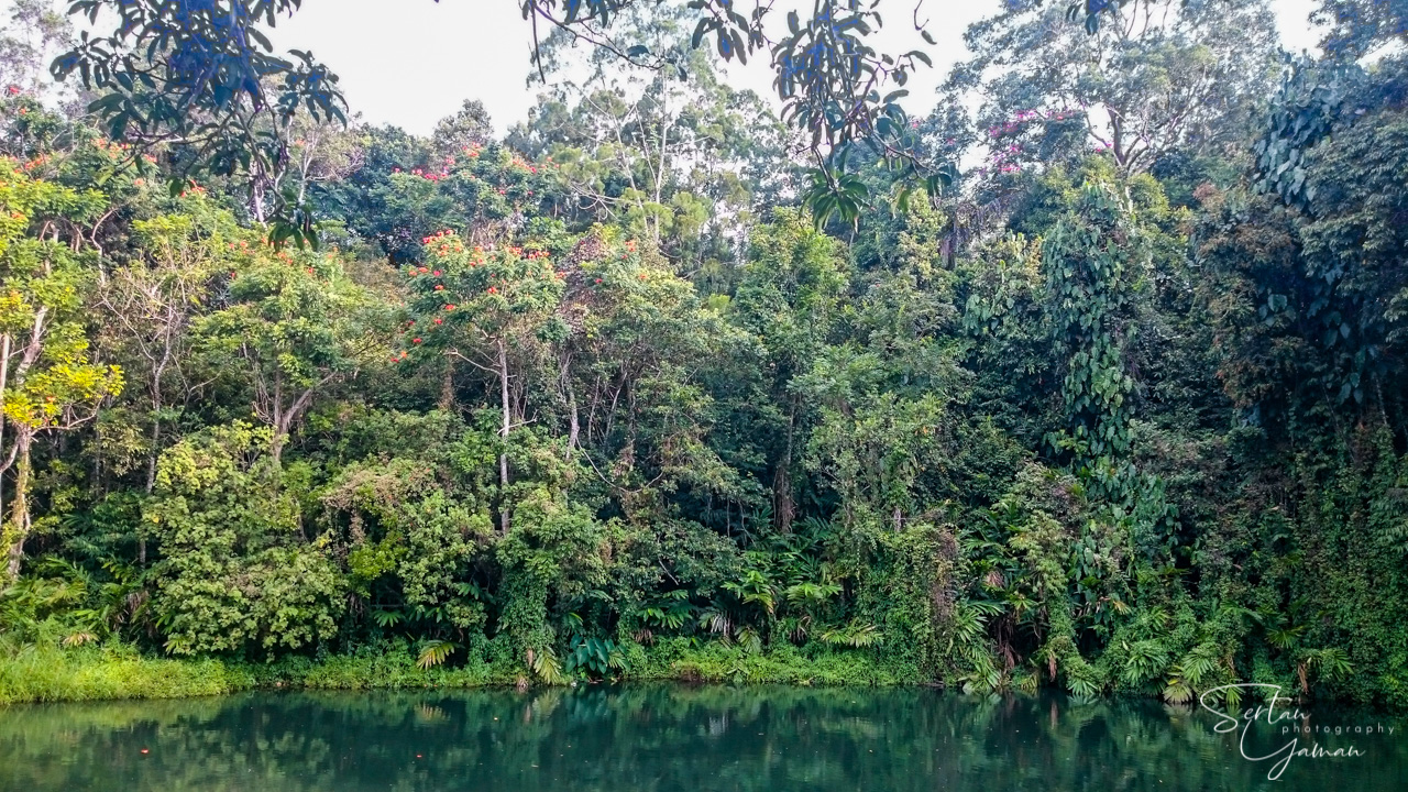 Papua New Guinea