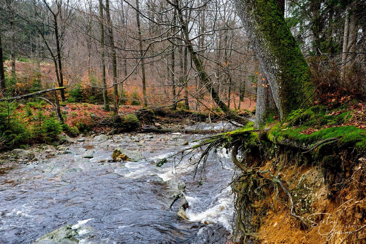 Pays de Herve nature