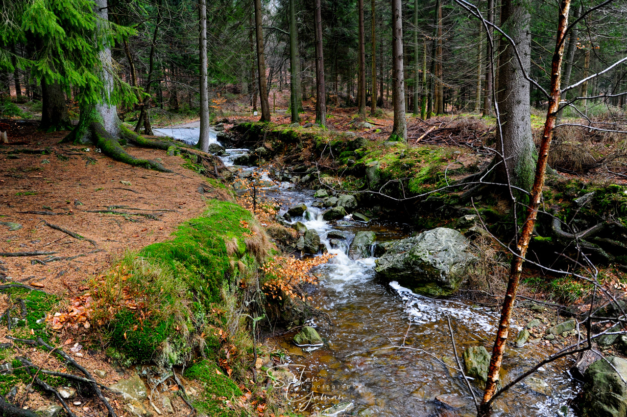 Pays de Herve nature