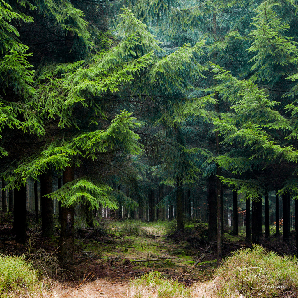 Pays de Herve nature