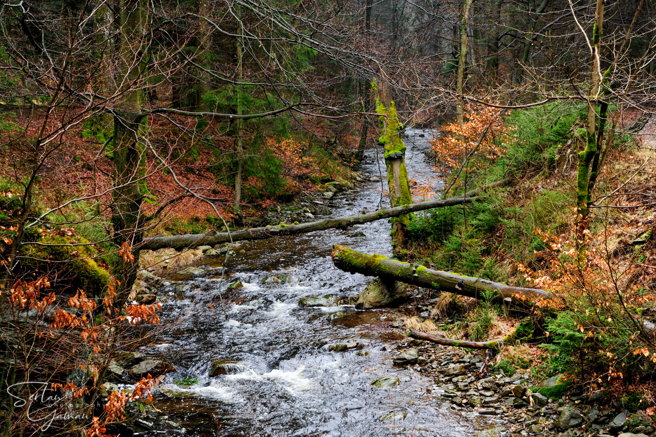 Pays de Herve nature
