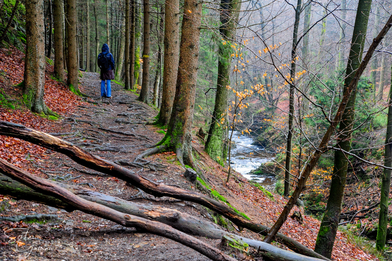 Pays de Herve nature