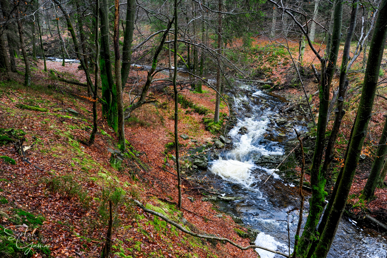Pays de Herve nature