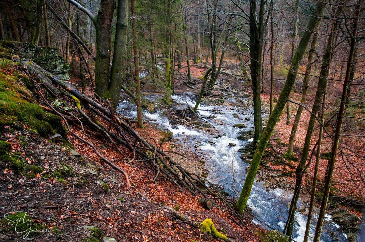 Pays de Herve nature