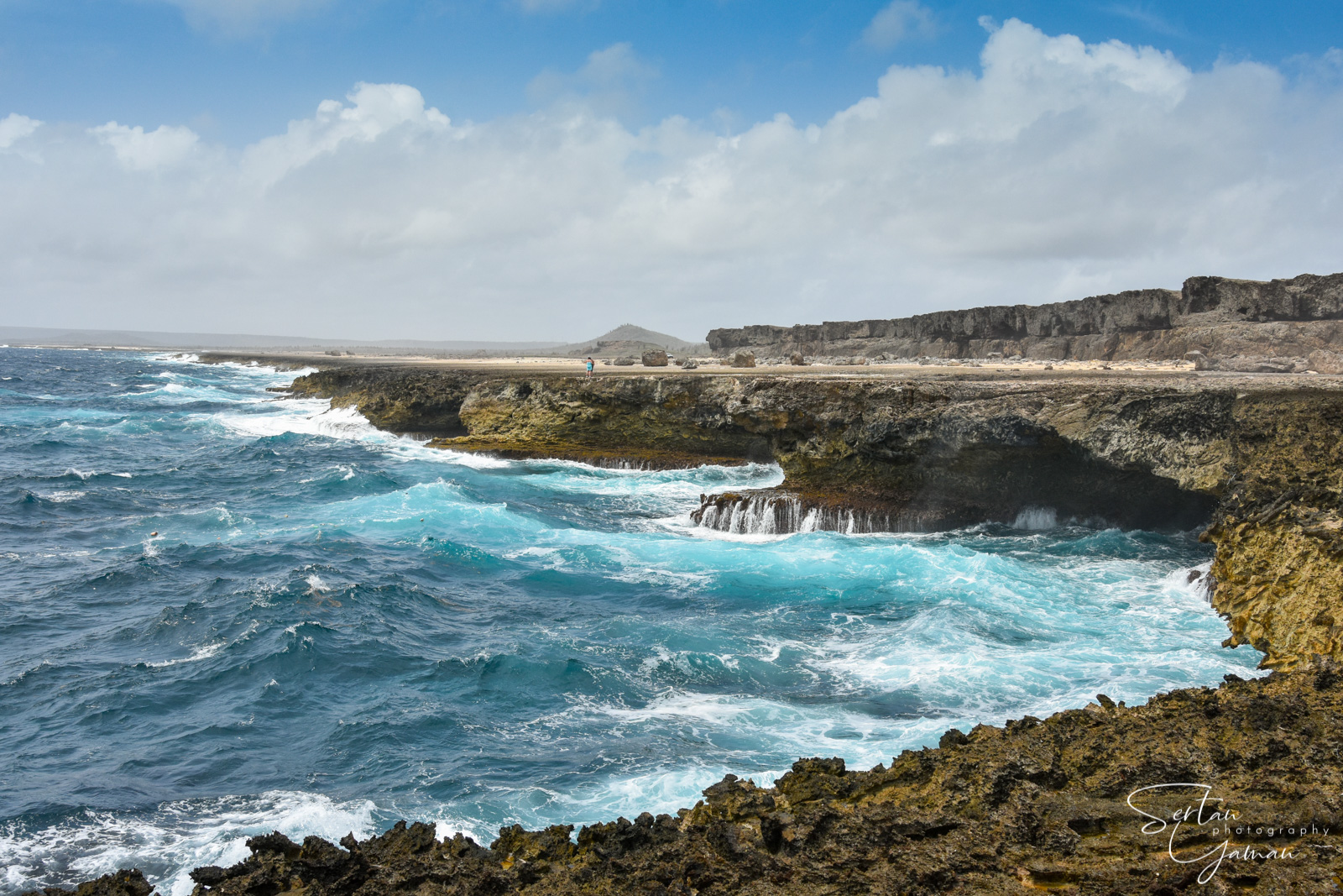 Wild shores of Bonaire