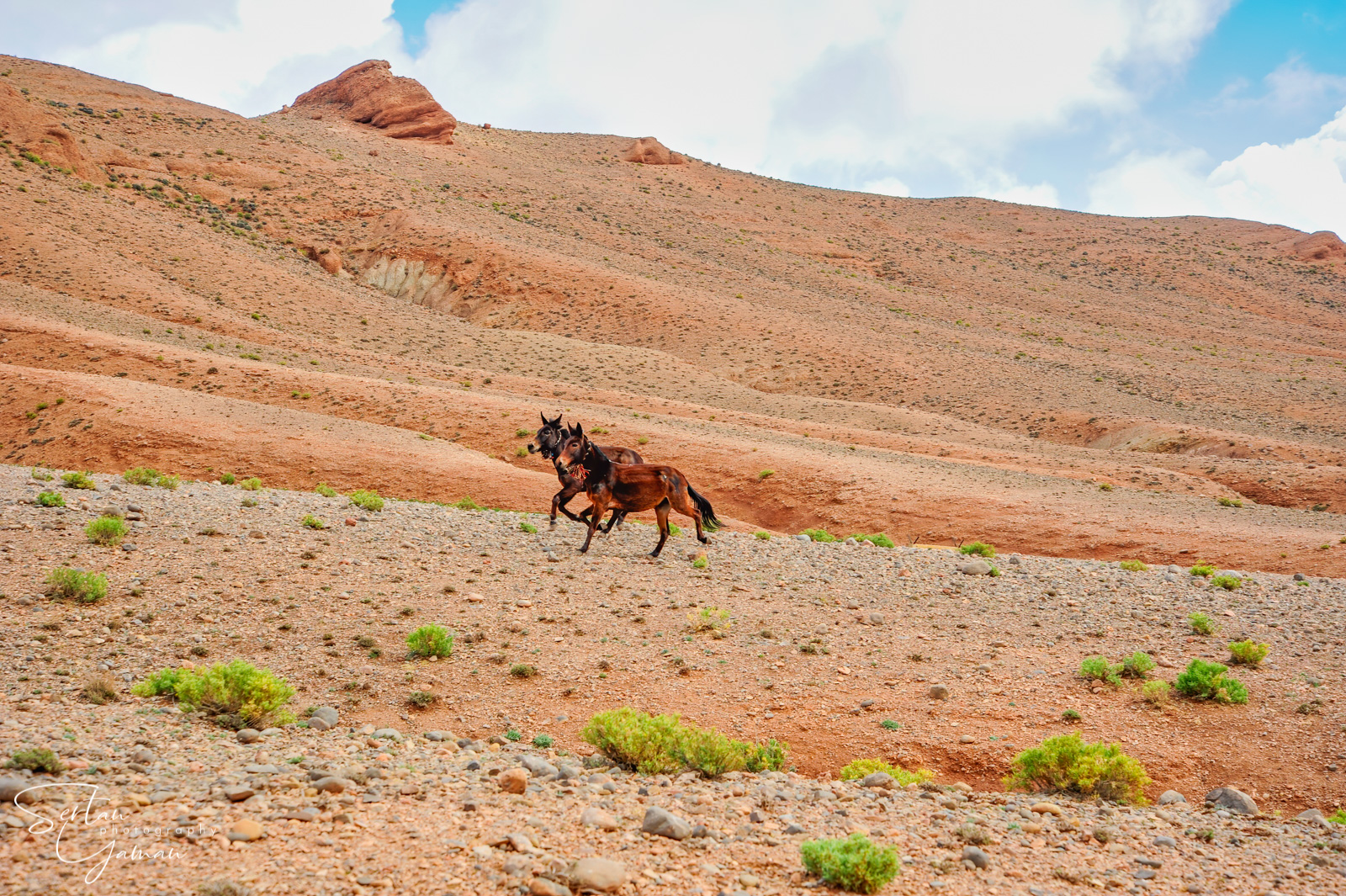 Nomads in Atlas Mountains
