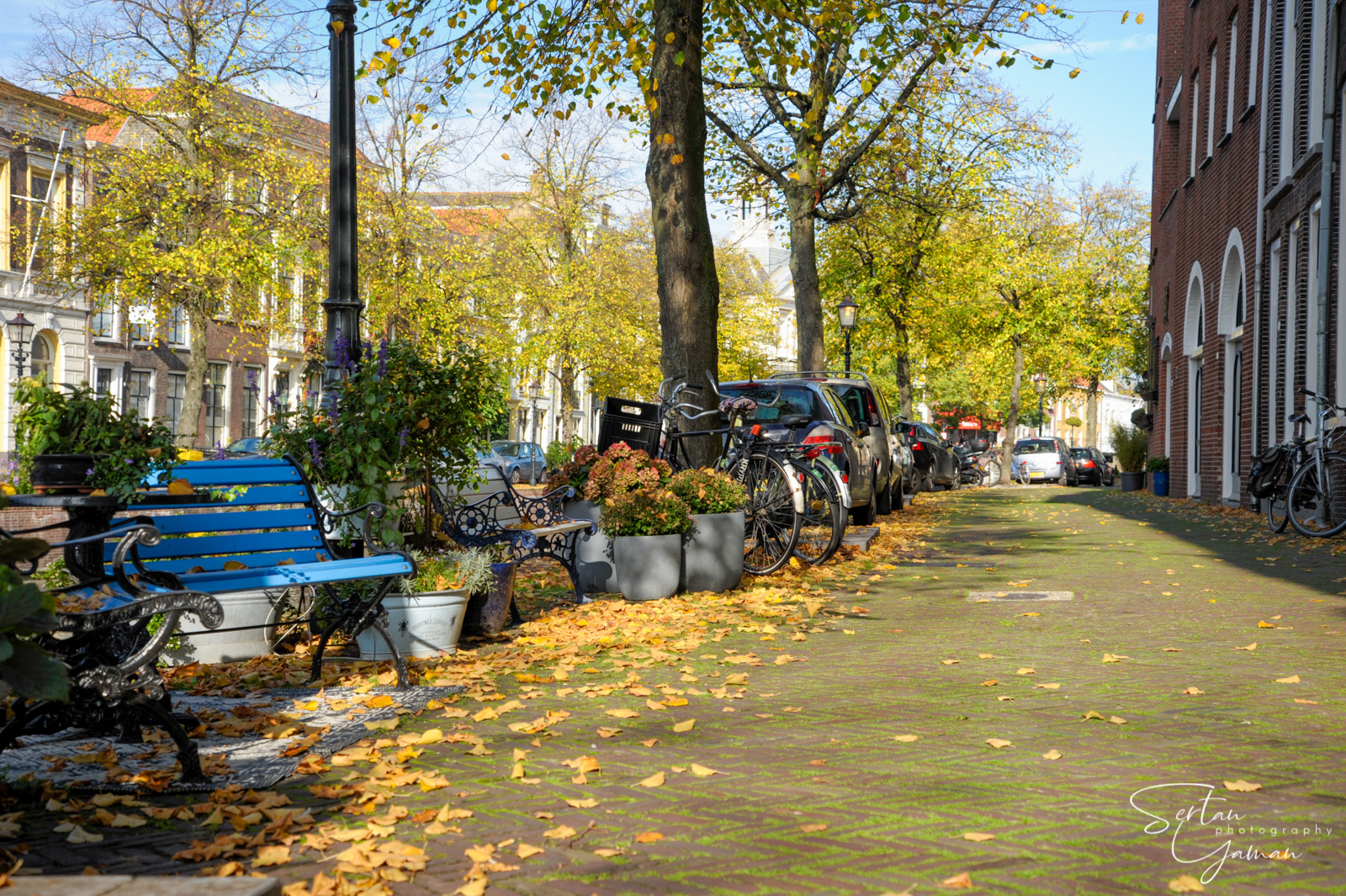 Schiedam in Autumn