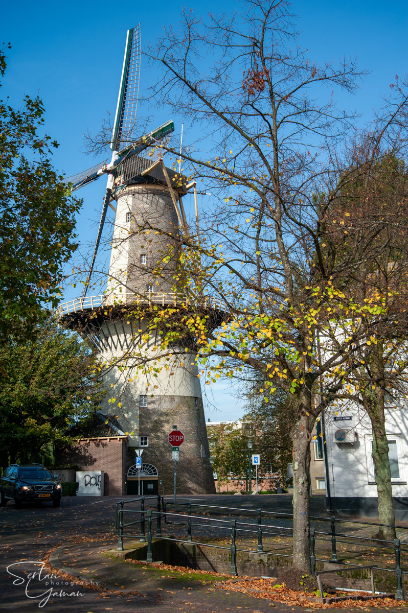 Schiedam in Autumn