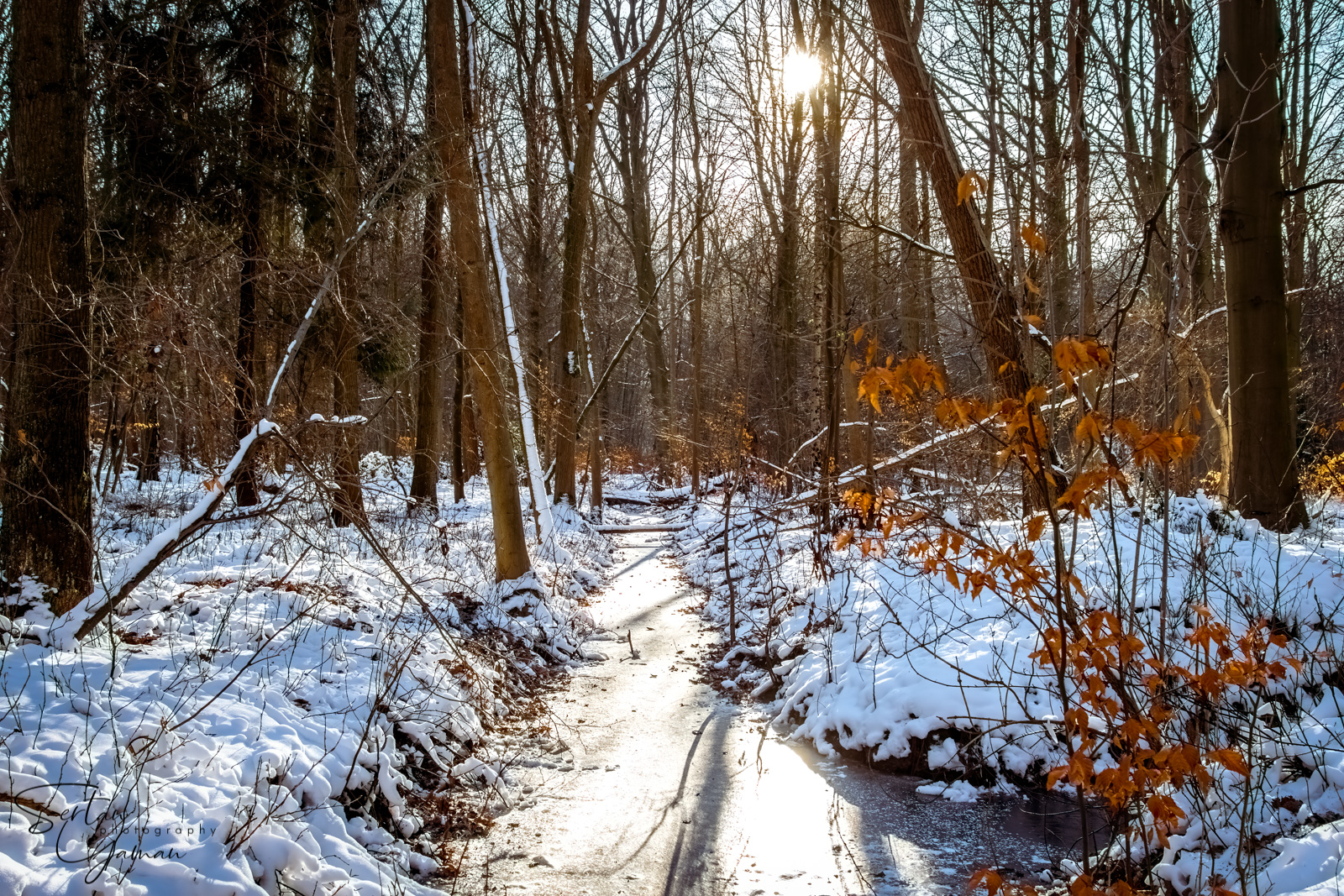 Sunset on snowy forest