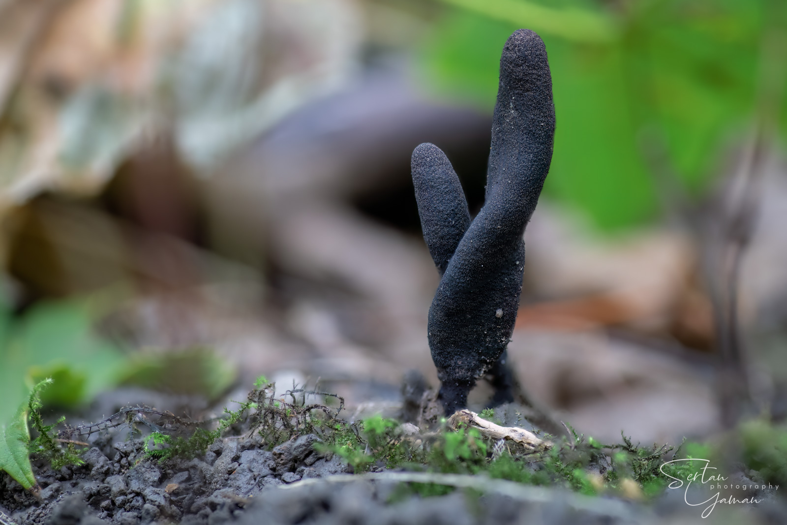 Dead man's crossed fingers photography
