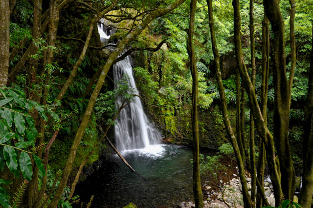 Ribeira do Faial da Terra