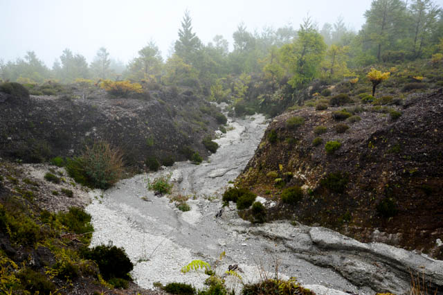 Monte Escuro lava paths